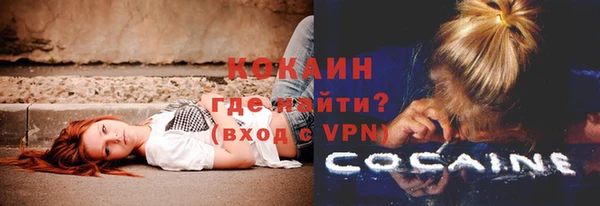 не бодяженный Ладушкин