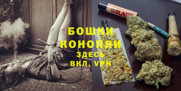 не бодяженный Ладушкин
