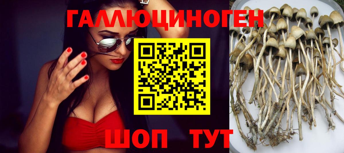Галлюциногенные грибы Cubensis  Вход с VPN  Обнинск 
