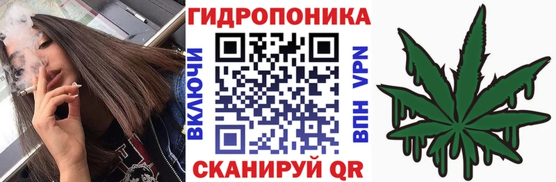 купить наркотики цена  Обнинск  Конопля LSD WEED 